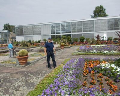 DSCN5411 (Kopiowanie)