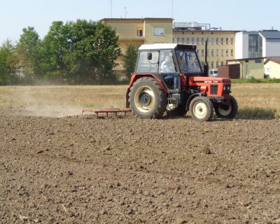 DSC02479 (Kopiowanie)