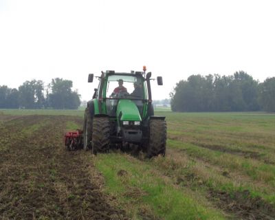 DSC03186 (Kopiowanie)