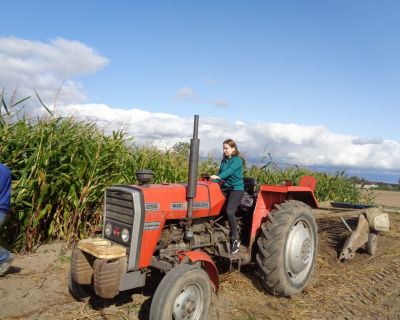 DSC02525 (Kopiowanie)