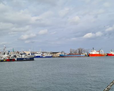 20230314_131619 (Kopiowanie)