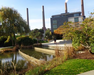 DSC01019 (Kopiowanie)