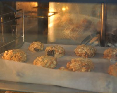 DSC_0796 (Kopiowanie)