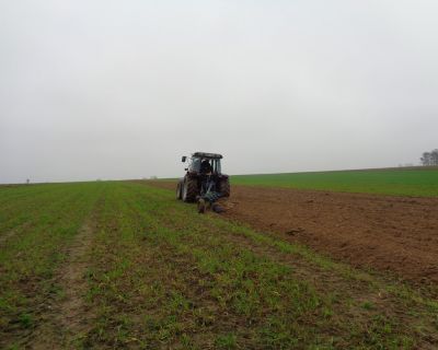 DSC01819 (Kopiowanie)