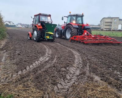 Prace polowe w CKZ 2025