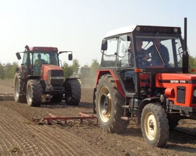 DSC02505 (Kopiowanie)