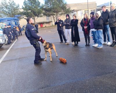 20230316_151716 (Kopiowanie)