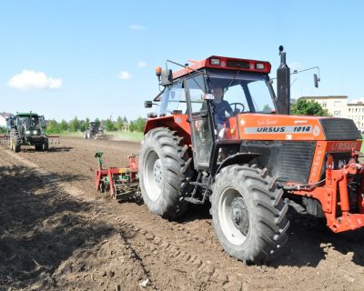 DSC_0511 (Kopiowanie)