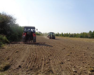 DSC02494 (Kopiowanie)