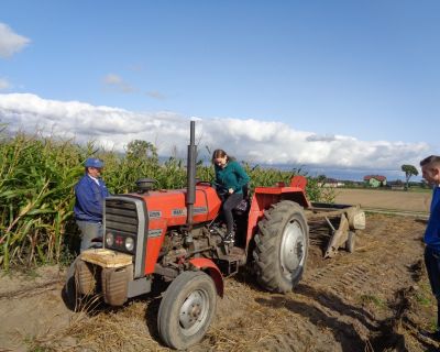 DSC02523 (Kopiowanie)