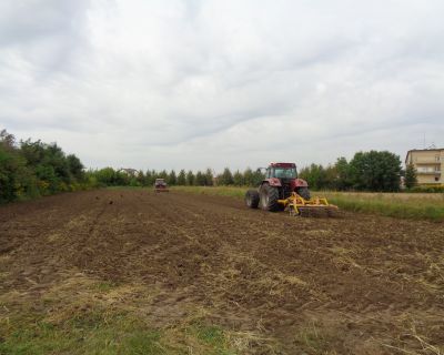 DSC03151 (Kopiowanie)