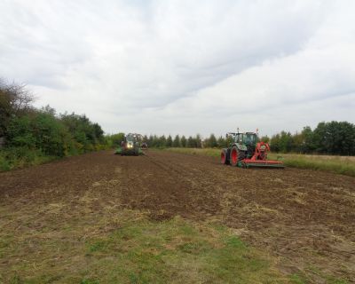 DSC03155 (Kopiowanie)