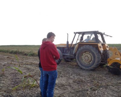 DSC02564 (Kopiowanie)