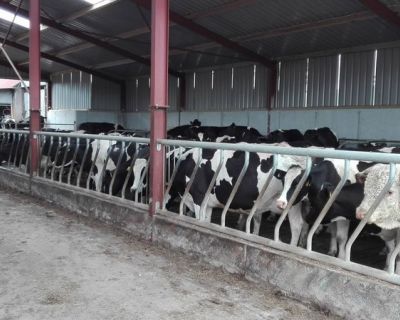 18641869_1320551008061060_1546760687_o (Kopiowanie)