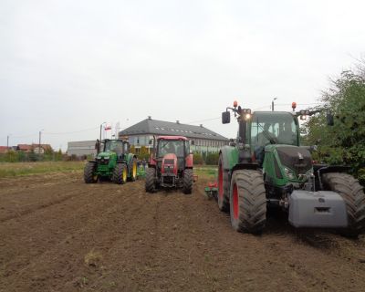 DSC03143 (Kopiowanie)