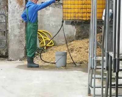 18739652_1420410351352030_934704720569050053_n (Kopiowanie)