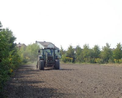 DSC02489 (Kopiowanie)