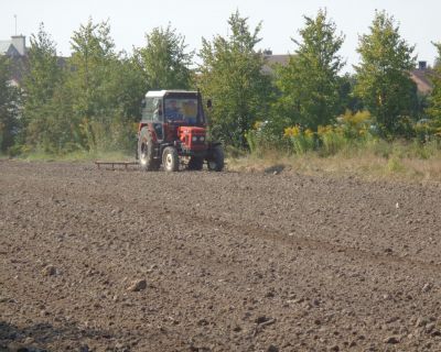 DSC02478 (Kopiowanie)