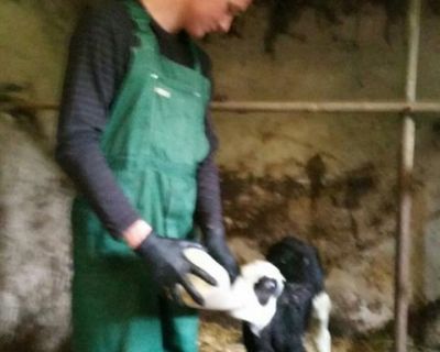 18813503_1420409914685407_3012138641842498958_n (Kopiowanie)